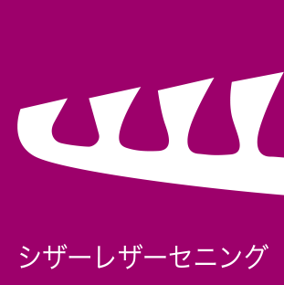 シザーレザーセニング